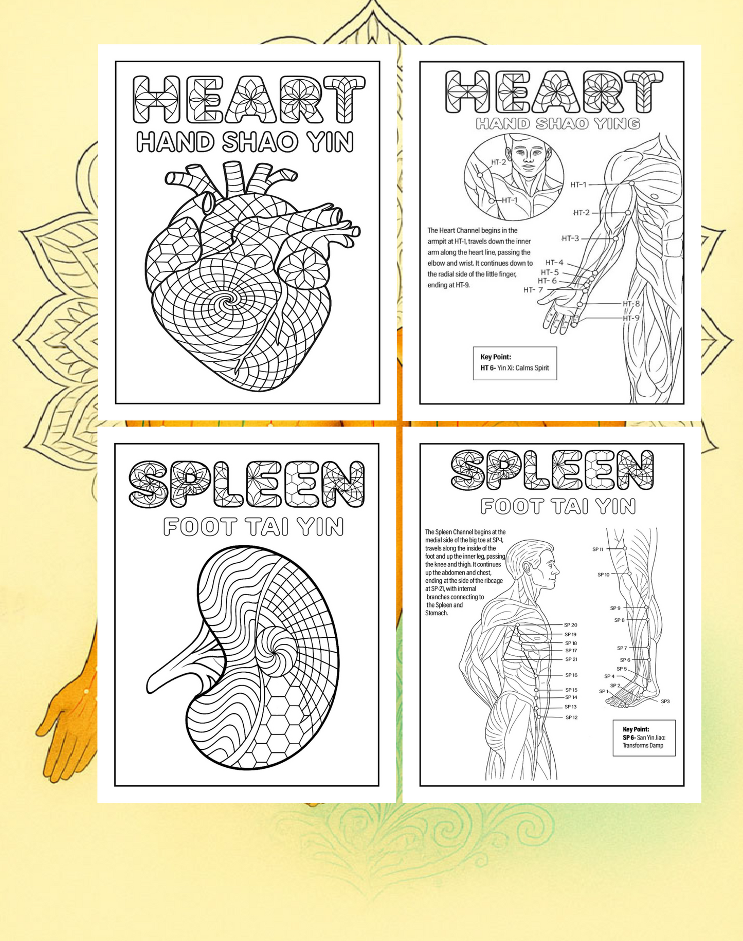 Acupuncture Coloring Book